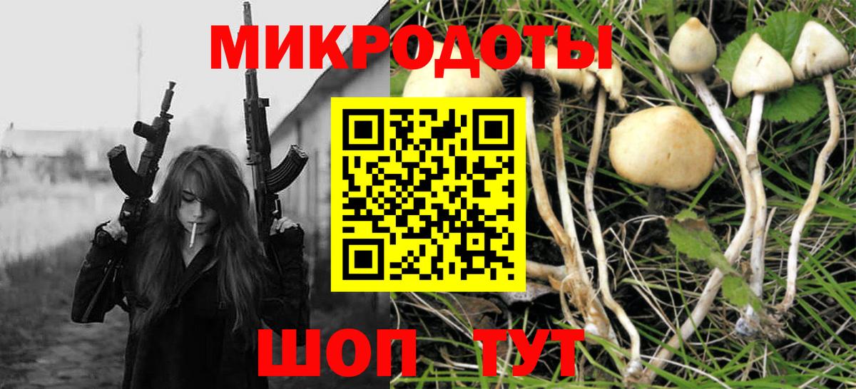 Псилоцибиновые грибы Psilocybine cubensis  Вход с VPN  Нерюнгри 